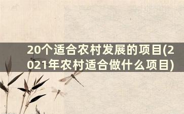 20个适合农村发展的项目(2021年农村适合做什么项目)