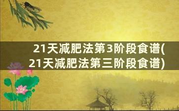 21天减肥法第3阶段食谱(21天减肥法第三阶段食谱)