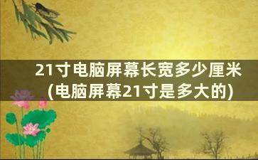 21寸电脑屏幕长宽多少厘米(电脑屏幕21寸是多大的)