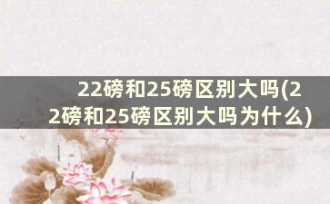 22磅和25磅区别大吗(22磅和25磅区别大吗为什么)