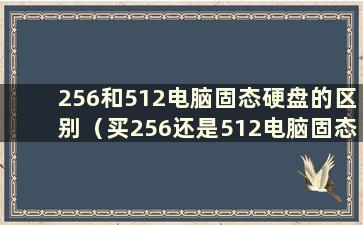 256和512电脑固态硬盘的区别（买256还是512电脑固态硬盘）