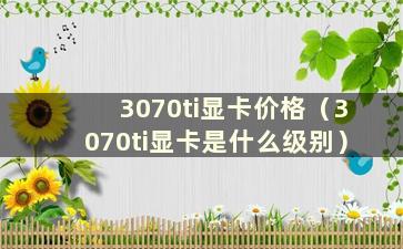 3070ti显卡价格（3070ti显卡是什么级别）