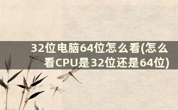 32位电脑64位怎么看(怎么看CPU是32位还是64位)