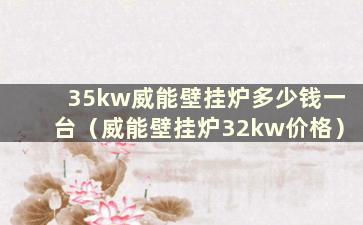 35kw威能壁挂炉多少钱一台（威能壁挂炉32kw价格）