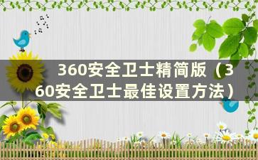 360安全卫士精简版（360安全卫士最佳设置方法）