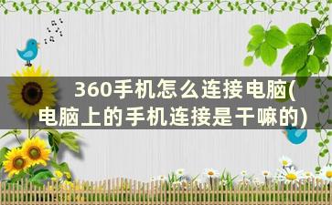 360手机怎么连接电脑(电脑上的手机连接是干嘛的)