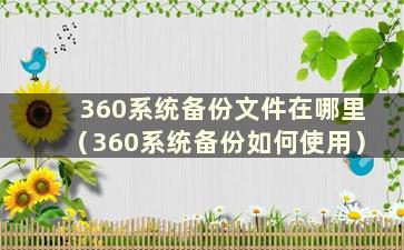 360系统备份文件在哪里（360系统备份如何使用）