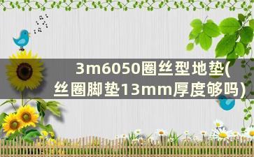 3m6050圈丝型地垫(丝圈脚垫13mm厚度够吗)