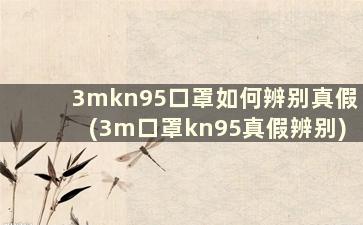 3mkn95口罩如何辨别真假(3m口罩kn95真假辨别)