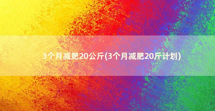 3个月减肥20公斤(3个月减肥20斤计划)