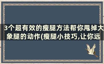 3个超有效的瘦腿方法帮你甩掉大象腿的动作(瘦腿小技巧,让你远离大象腿)