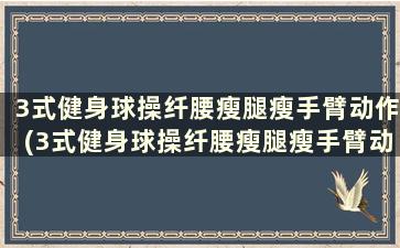 3式健身球操纤腰瘦腿瘦手臂动作(3式健身球操纤腰瘦腿瘦手臂动作要领)