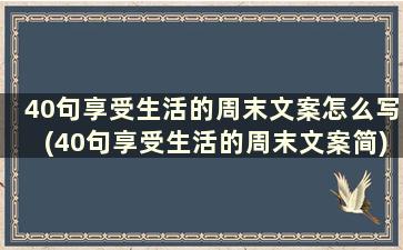 40句享受生活的周末文案怎么写(40句享受生活的周末文案简)