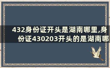 432身份证开头是湖南哪里,身份证430203开头的是湖南哪里的