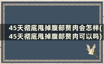 45天彻底甩掉腹部赘肉会怎样(45天彻底甩掉腹部赘肉可以吗)