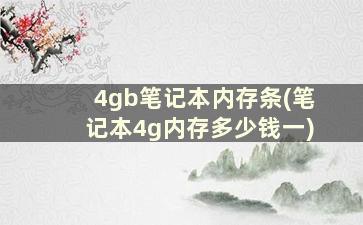 4gb笔记本内存条(笔记本4g内存多少钱一)