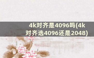 4k对齐是4096吗(4k对齐选4096还是2048)