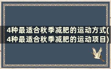 4种最适合秋季减肥的运动方式(4种最适合秋季减肥的运动项目)