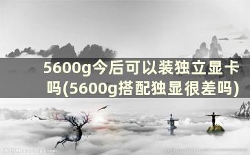 5600g今后可以装独立显卡吗(5600g搭配独显很差吗)