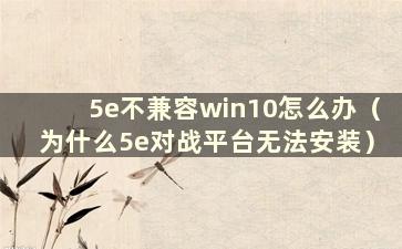 5e不兼容win10怎么办（为什么5e对战平台无法安装）