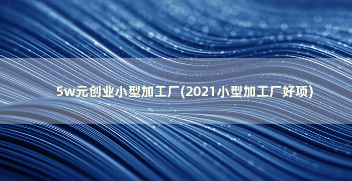 5w元创业小型加工厂(2021小型加工厂好项)