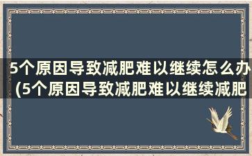 5个原因导致减肥难以继续怎么办(5个原因导致减肥难以继续减肥)