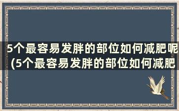 5个最容易发胖的部位如何减肥呢(5个最容易发胖的部位如何减肥最有效)