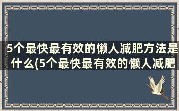 5个最快最有效的懒人减肥方法是什么(5个最快最有效的懒人减肥方法)