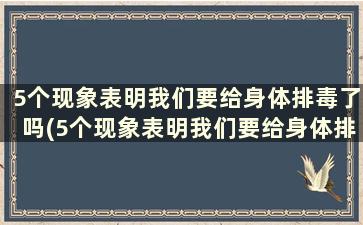 5个现象表明我们要给身体排毒了吗(5个现象表明我们要给身体排毒了的英文)