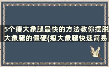 5个瘦大象腿最快的方法教你摆脱大象腿的僵硬(瘦大象腿快速简易方法)