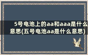 5号电池上的aa和aaa是什么意思(五号电池aa是什么意思)