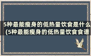 5种最能瘦身的低热量饮食是什么(5种最能瘦身的低热量饮食食谱)