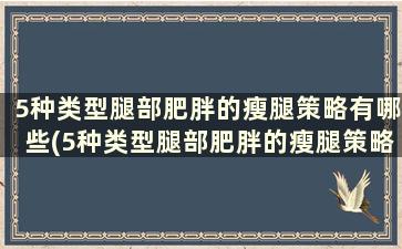 5种类型腿部肥胖的瘦腿策略有哪些(5种类型腿部肥胖的瘦腿策略是)