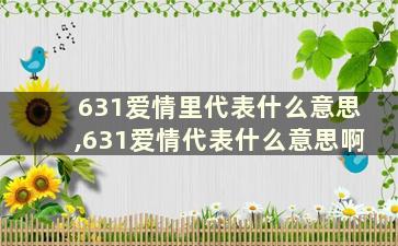 631爱情里代表什么意思,631爱情代表什么意思啊