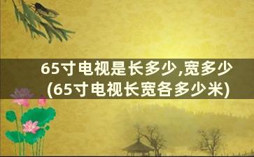 65寸电视是长多少,宽多少(65寸电视长宽各多少米)