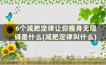 6个减肥定律让你瘦身无阻碍是什么(减肥定律叫什么)