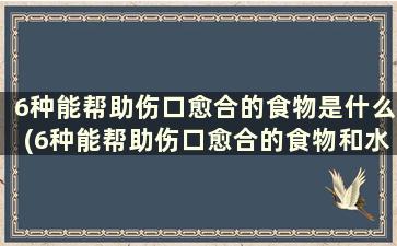 6种能帮助伤口愈合的食物是什么(6种能帮助伤口愈合的食物和水果)