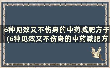 6种见效又不伤身的中药减肥方子(6种见效又不伤身的中药减肥方剂)