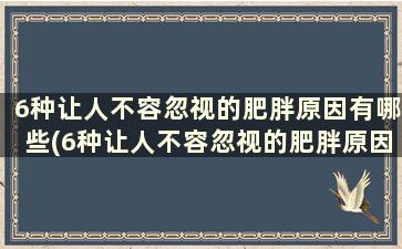 6种让人不容忽视的肥胖原因有哪些(6种让人不容忽视的肥胖原因是)