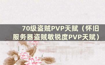 70级盗贼PVP天赋（怀旧服务器盗贼敏锐度PVP天赋）