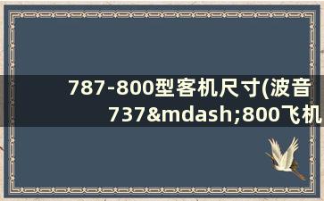 787-800型客机尺寸(波音737—800飞机尺寸)