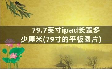 79.7英寸ipad长宽多少厘米(79寸的平板图片)