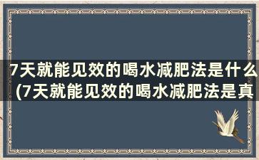 7天就能见效的喝水减肥法是什么(7天就能见效的喝水减肥法是真的吗)