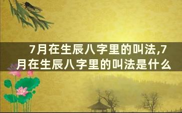 7月在生辰八字里的叫法,7月在生辰八字里的叫法是什么