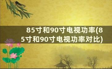 85寸和90寸电视功率(85寸和90寸电视功率对比)