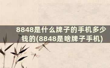 8848是什么牌子的手机多少钱的(8848是啥牌子手机)