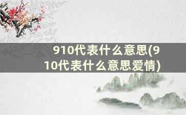 910代表什么意思(910代表什么意思爱情)