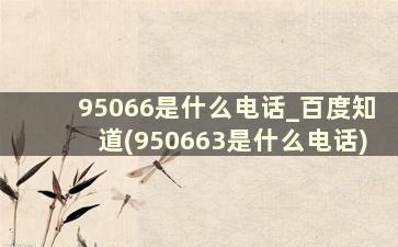 95066是什么电话_百度知道(950663是什么电话)