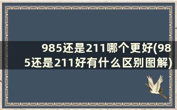 985还是211哪个更好(985还是211好有什么区别图解)