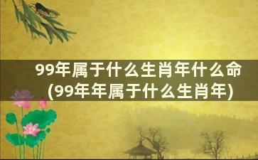 99年属于什么生肖年什么命(99年年属于什么生肖年)